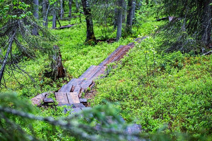 Korouoma Canyon & Auttiköngäs Waterfall Adventure