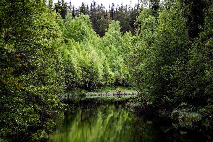 Korouoma Canyon & Auttiköngäs Waterfall Adventure