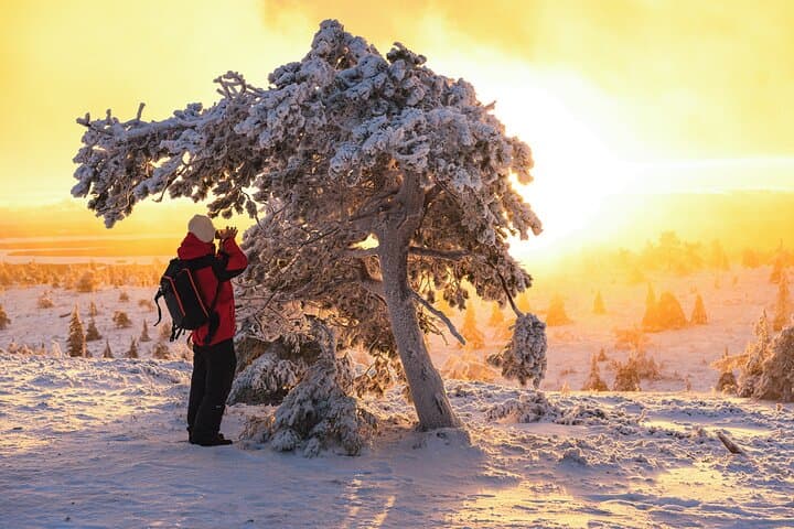 Riisitunturi wilderness adventure