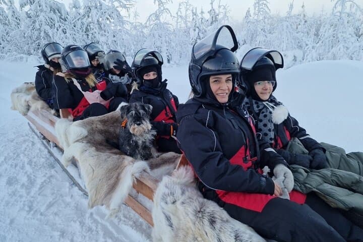 Lapland In A Day - Reindeer, Sledding, Snowmobile & Nature