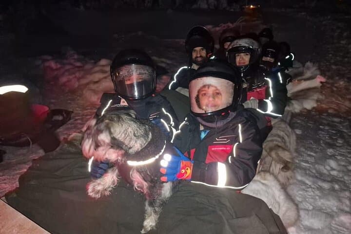 Lapland In A Day - Reindeer, Sledding, Snowmobile & Nature