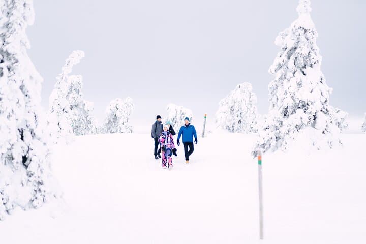 Frozen Wonderland: Riisitunturi Winter Photography Hike