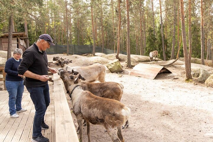 Northern Elegance: Private Reindeer Safari & Fireside Picnic*****