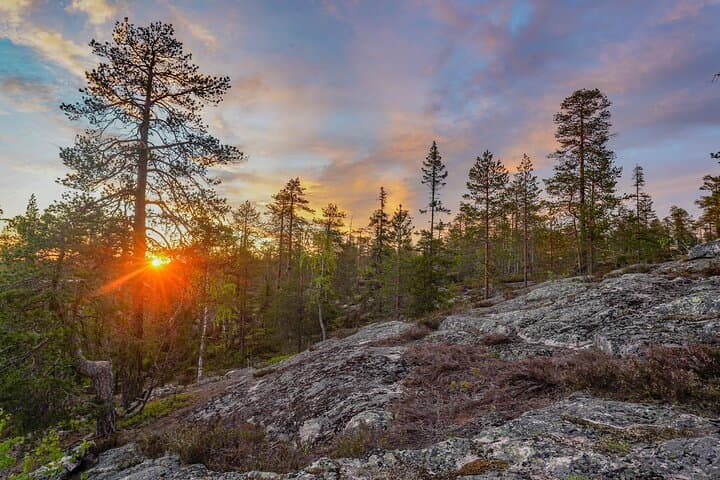 Wilderness Survival Tour under the Midnight Sun
