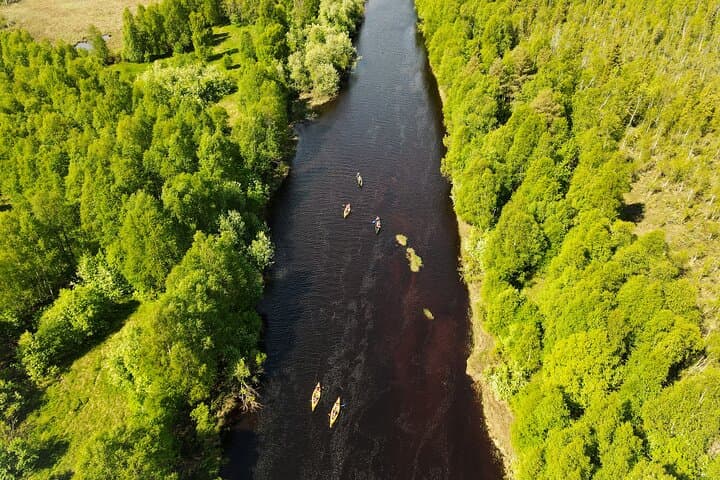 Canoeing Trip in Lapland