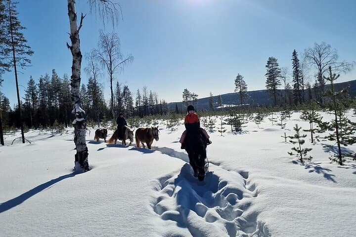 Horse ride to the snowy hill