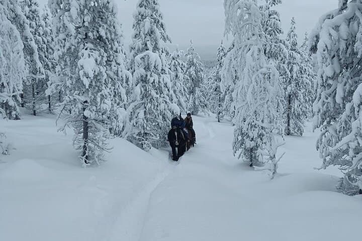 Horse ride to the snowy hill