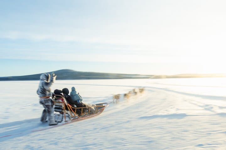 Rovaniemi Insider: 5 km Husky Self Drive Adventure