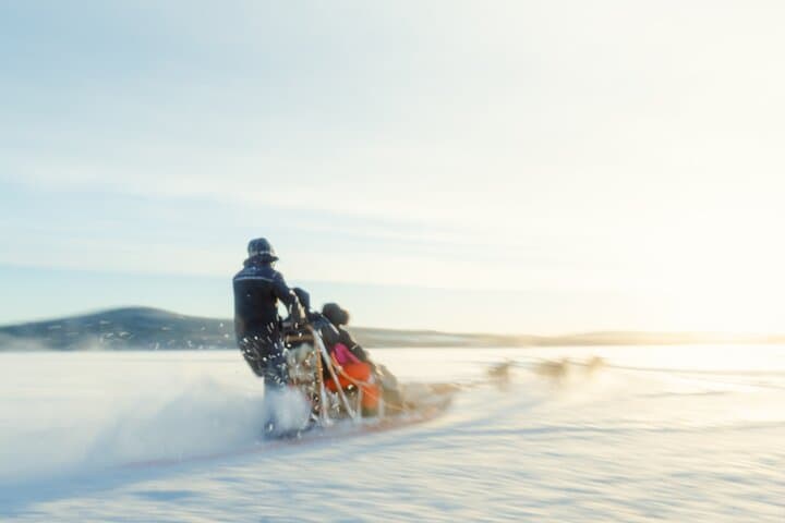 Rovaniemi Insider: 5 km Husky Self Drive Adventure