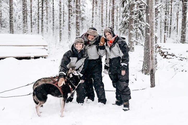 Rovaniemi Husky Safari Guided Sled Ride in Lapland