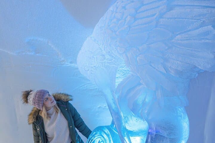 Visiting package: Introduction to Arctic SnowHotel