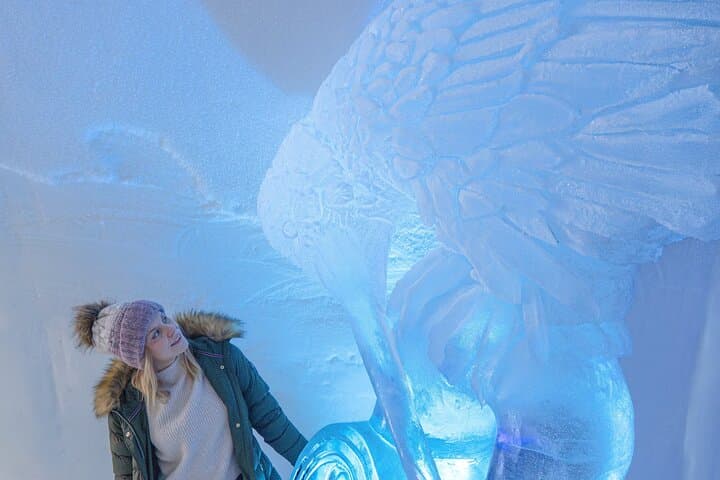 Visiting Package Chill and Dine at Ice Restaurant