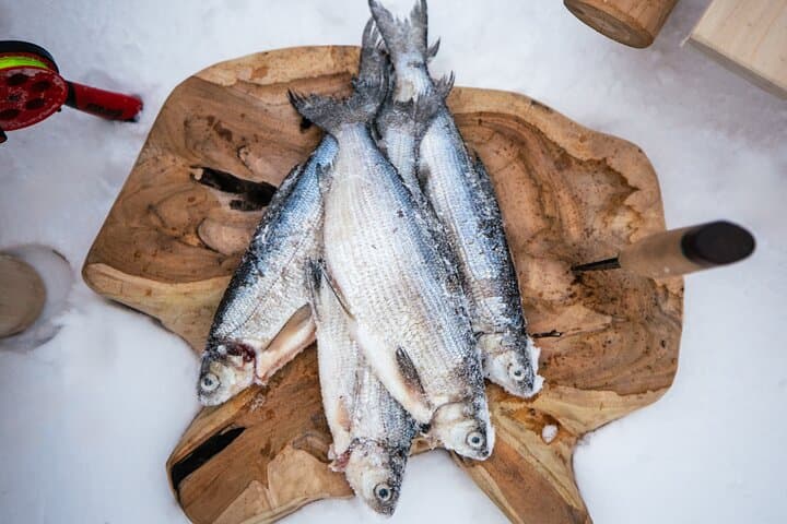 Rovaniemi Private Fishing Day with Lunch in a Igloo