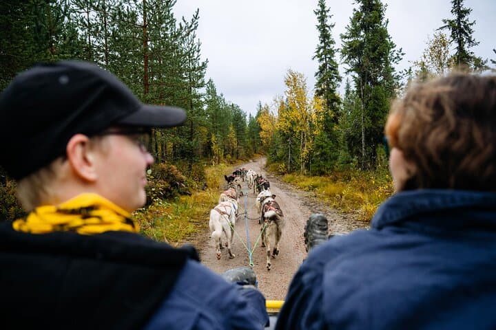 3Km Husky Tour & Kennel Visit: Running with the Pack in Autumn