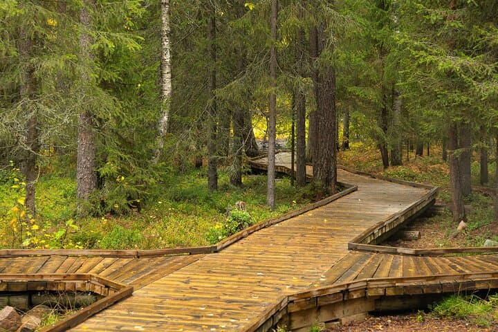 Vaatunkiköngäs Trail Arctic Circle Forest Hike