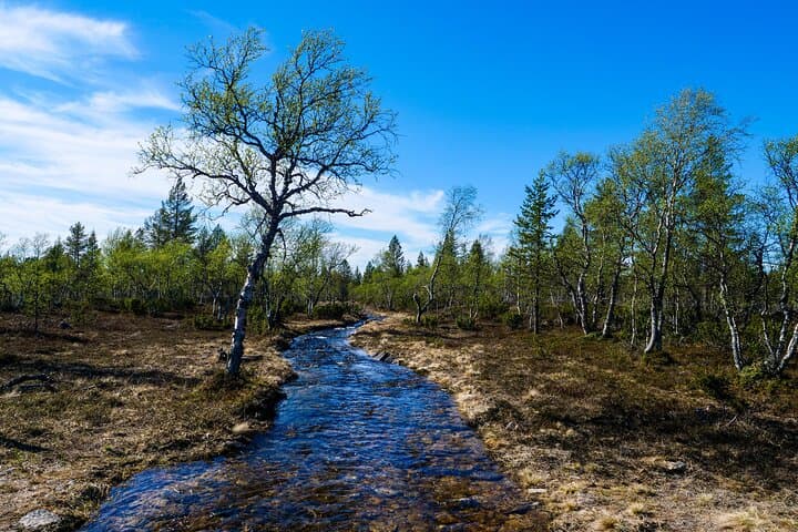 Wilderness Hike in the Tundra