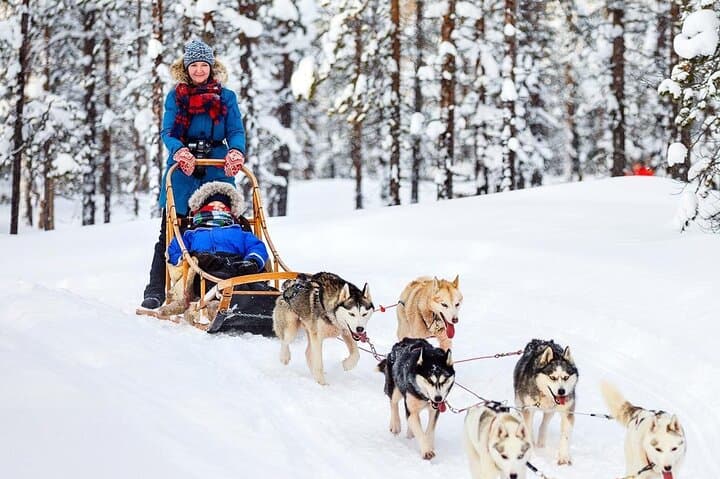 Huskies 5km Self Driven Sled Ride