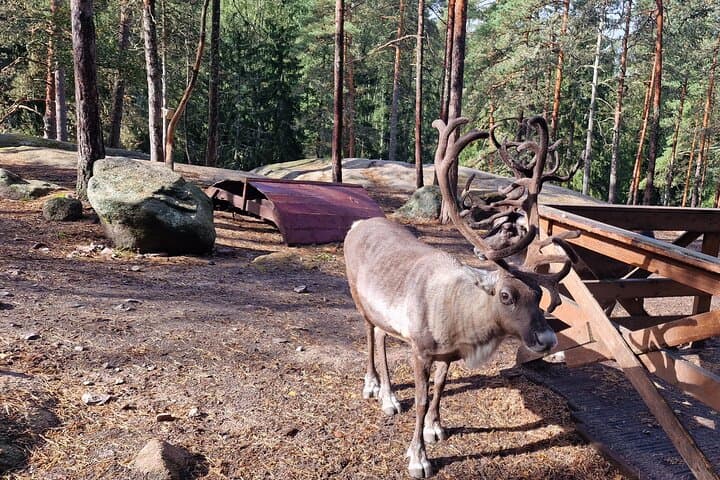 Nuuksio National Park Private Tour with pickup from Helsinki