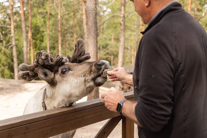 Nuuksio National Park Private Tour with pickup from Helsinki