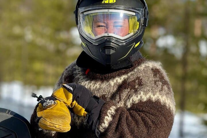 Snowmobile Sleigh Adventure in Authentic Lapland
