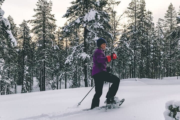 Private Snowshoeing Tour In Pyhätunturi With A Local Guide