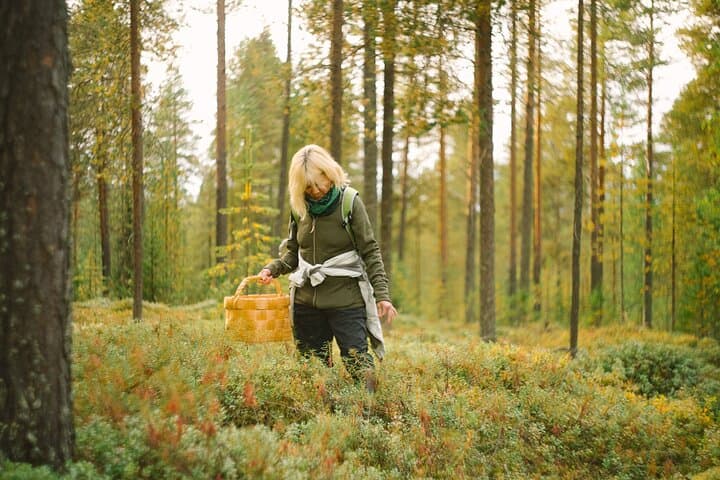 Explore magical northern forests with a guide who knows every secret spot