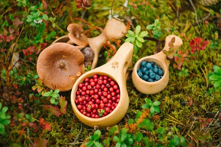 Handpicked wild berries served the local way