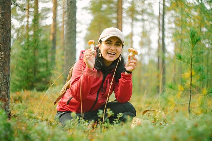 Discover the joy of finding your own wild mushrooms in the Lapland forest!