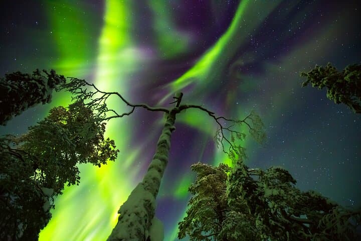 Private Northern Lights Hunt and Photography Experience