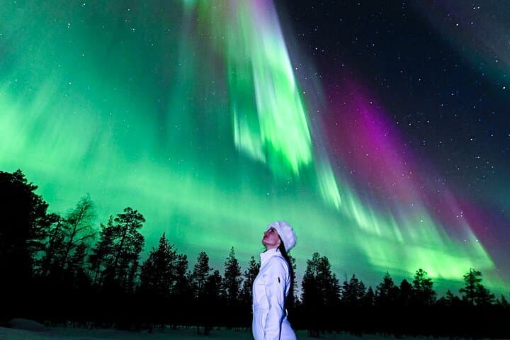 Rovaniemi: Northern Lights Guaranteed Group Tour - Free Photos
