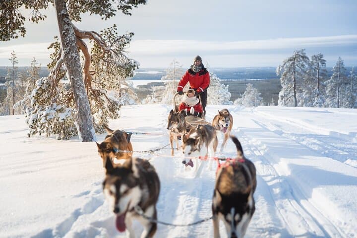 Arctic Great Huskies Team & amazing adventure in the Arctic Circle. 

@VISITROVANIEMI