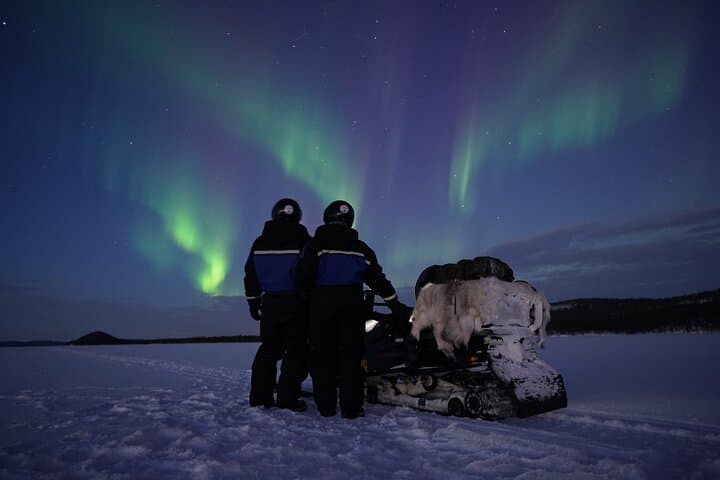 Snowmobile Experience 2h in Wild Lapland