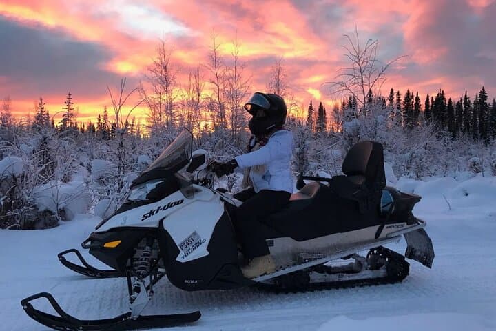 Levi: Twilight Snowmobile Safari & Stargazing Experience
