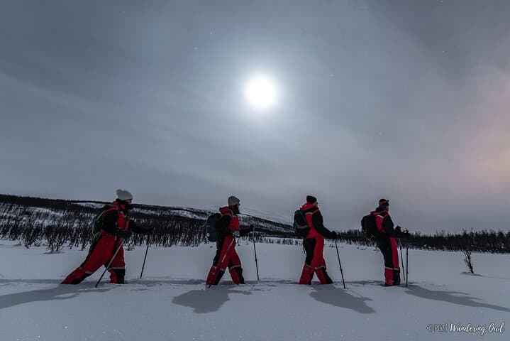 LEVI Night Star Walk on Snowshoes in the Wilderness(ALL INCLUDED)