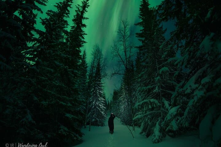 LEVI Adults Only Northern Lights Hunt in the Wild(ALL INCLUDED)