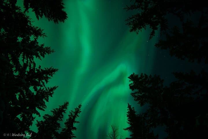 LEVI Adults Only Northern Lights Snowshoe Hunt (ALL INCLUDED)