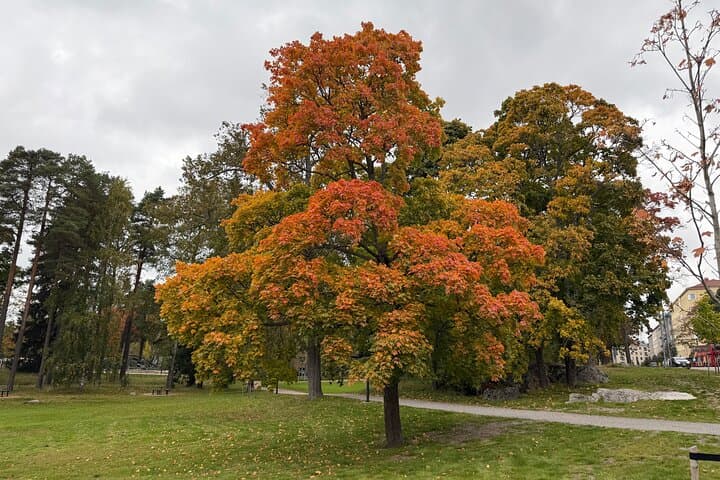 Private Helsinki and Porvoo Tour with Guide by Mercedes V class