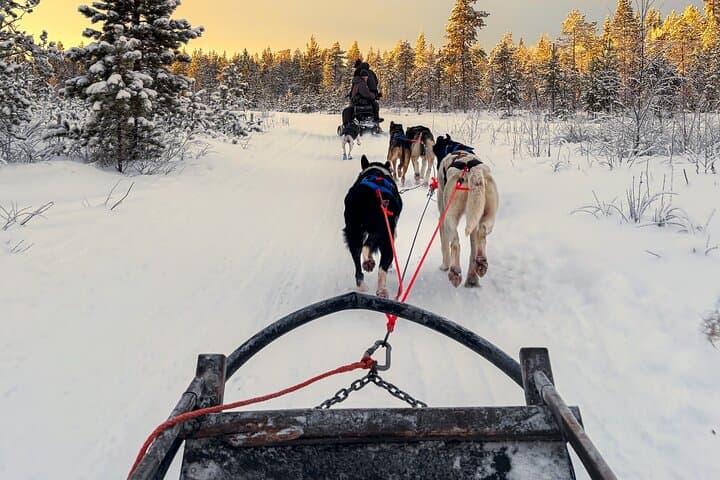 Rovaniemi Insider Husky Sleigh Ride Adventure on the Frozen Lake