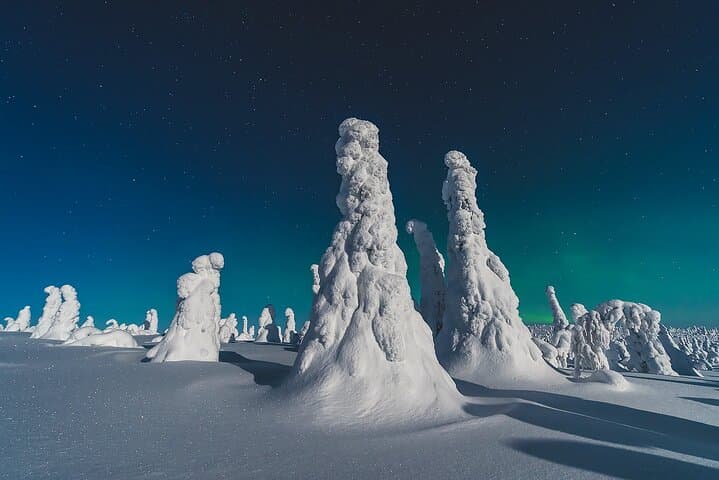 Riisitunturi National Park Car Tour from Rovaniemi