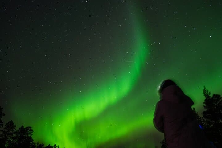 Aurora Hunting by Minivan in Ivalo, Inari or Saariselkä