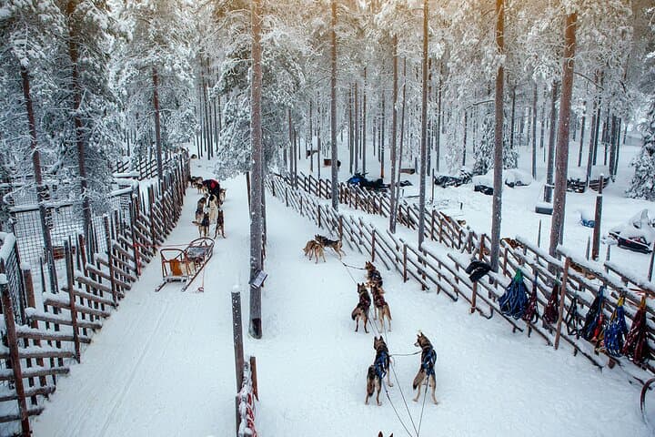 https://media-cdn.tripadvisor.com/media/attractions-splice-spp-720x480/17/06/13/9d.jpg