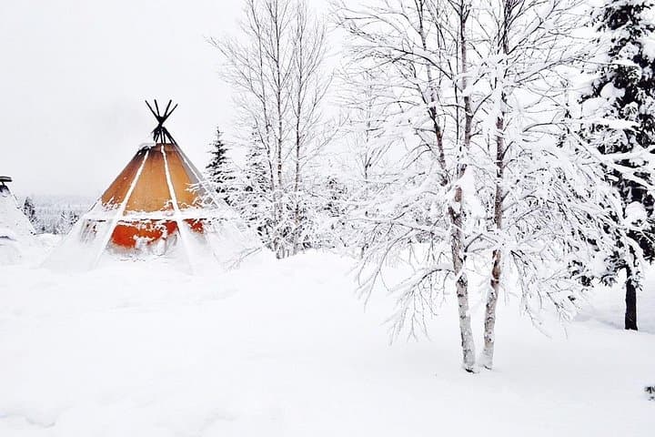 Northern Lights Hunting Expedition
