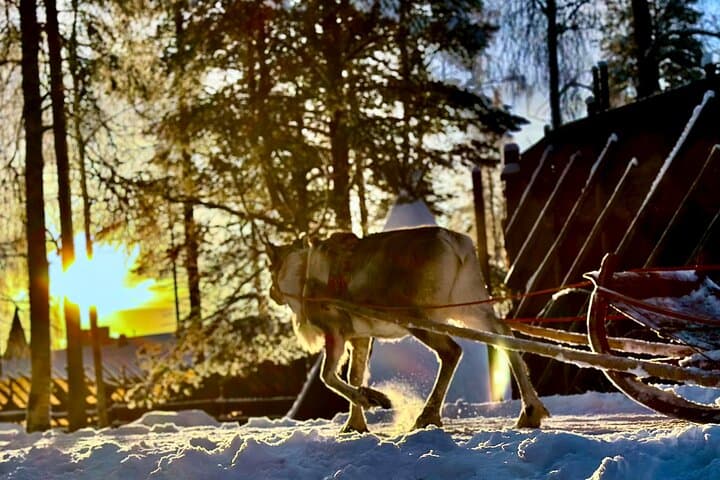 Santa Claus Village with Reindeer & Husky Ride