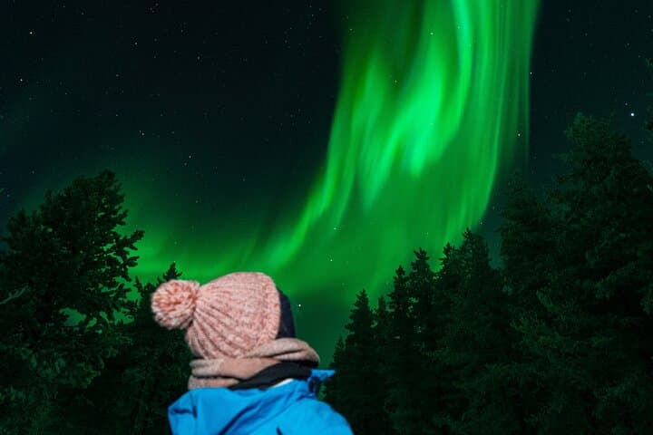 Rovaniemi: Northern Lights Tour with Guaranteed View