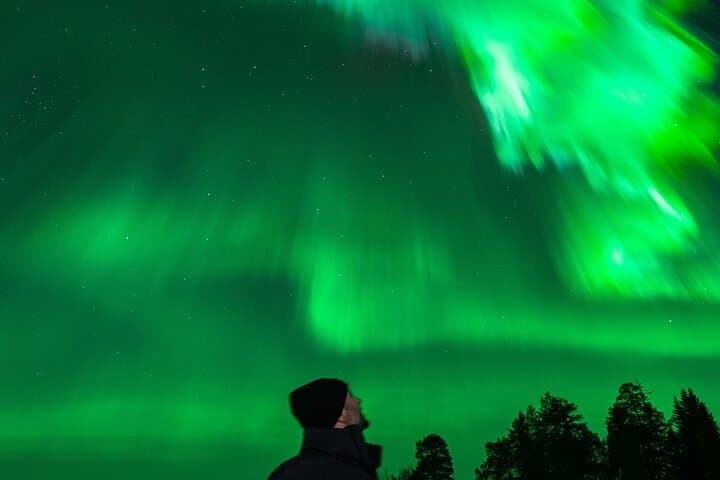 Rovaniemi: Northern Lights Tour with Guaranteed View