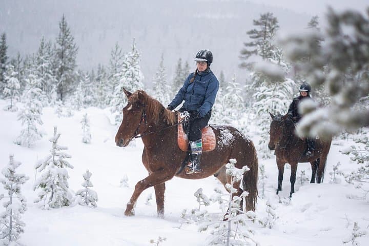 Horse ride to the snowy hill