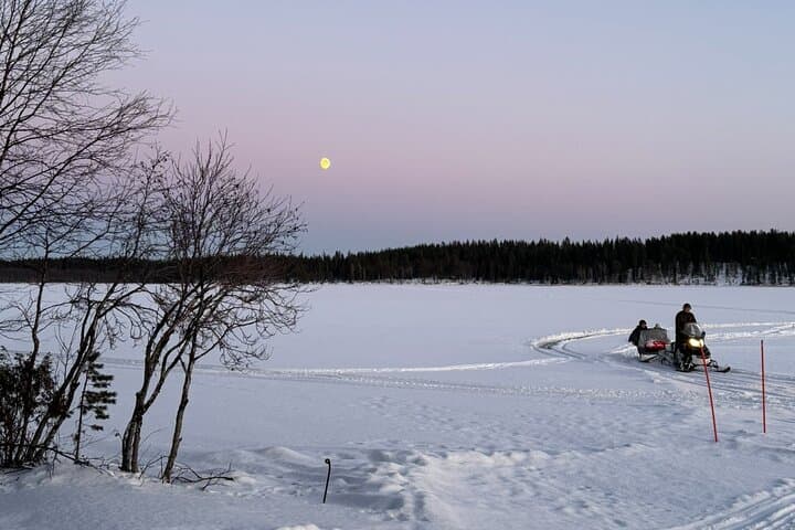 Reindeer Husbandry with Snowmobile Sleigh Ride and Cabin Lunch