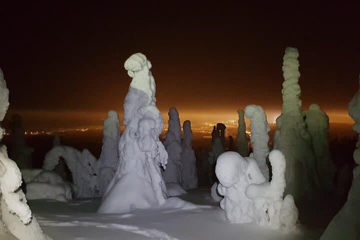 Arctic Night Snowshoeing near Ruka - Stars and Northern Sky