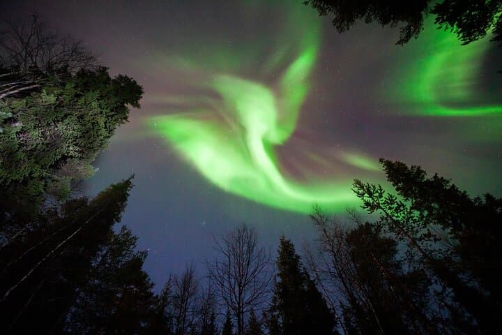 Private Aurora evening at Riverside Lodge