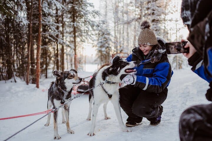 The Husky Forest Escape - 10KM Husky Safari